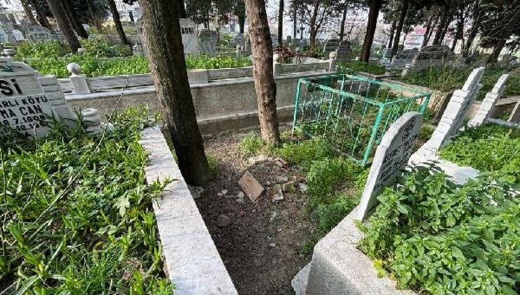 3 kardeş babalarını ihbar etti, bebek mezarı 20 yıl sonra açıldı! Müebbet mahpusu isteniyor