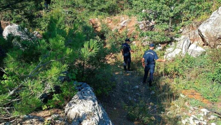 Bilecik’te Ormanlık Alanda Gömülü Ceset Bulundu