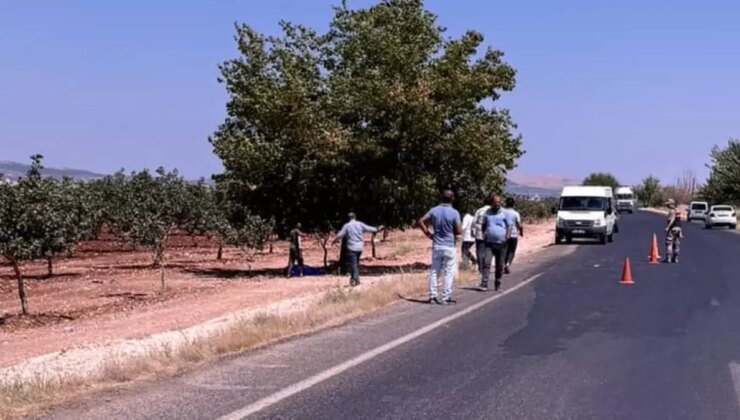 Şanlıurfa’da genç öğretmenin cesedi fıstık bahçesinde bulundu
