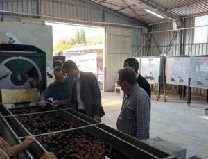 Bilecik’te Ceviz Hasadı ve Kurutma Tesisine Ziyaret